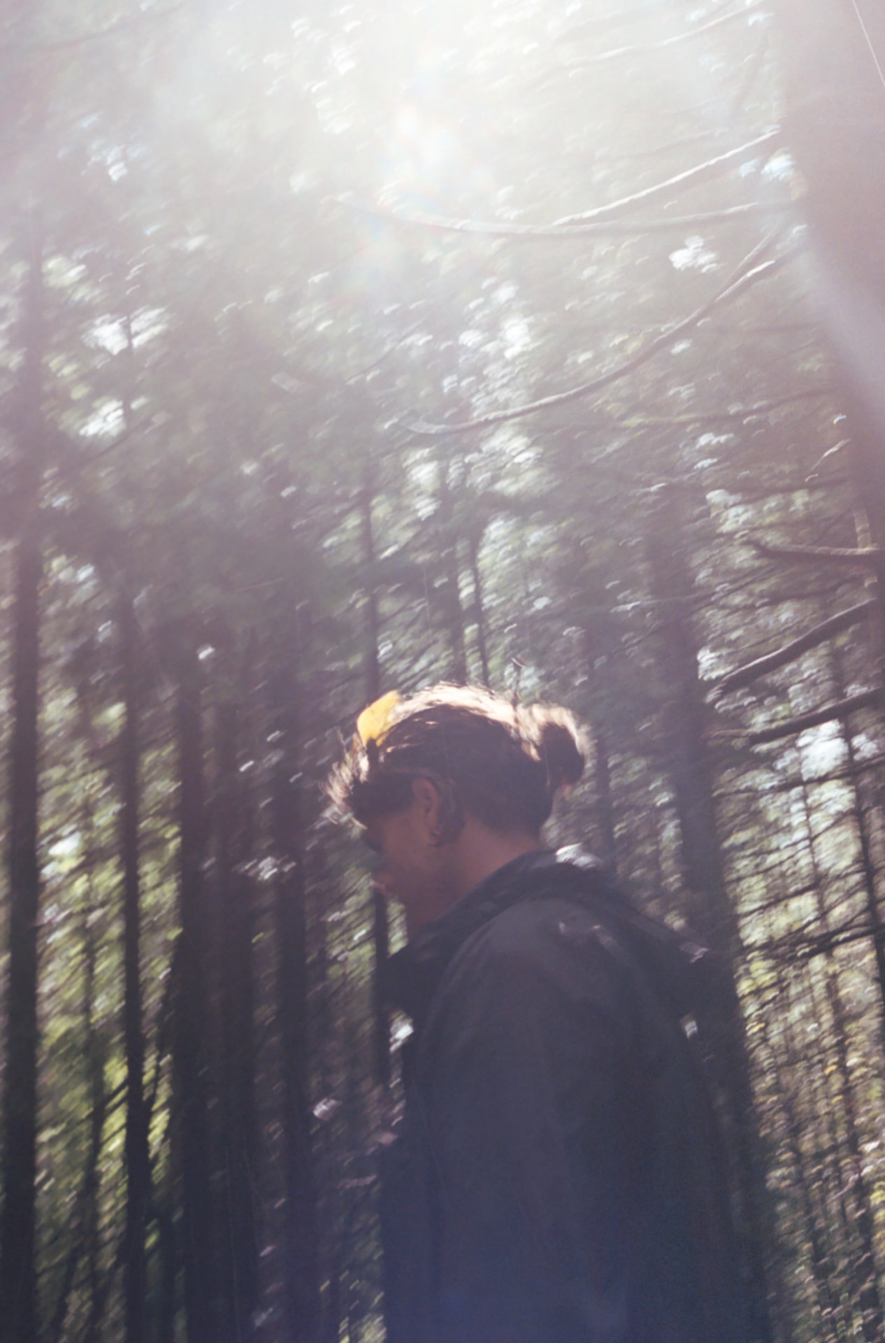 Joe standing quietly among the trees